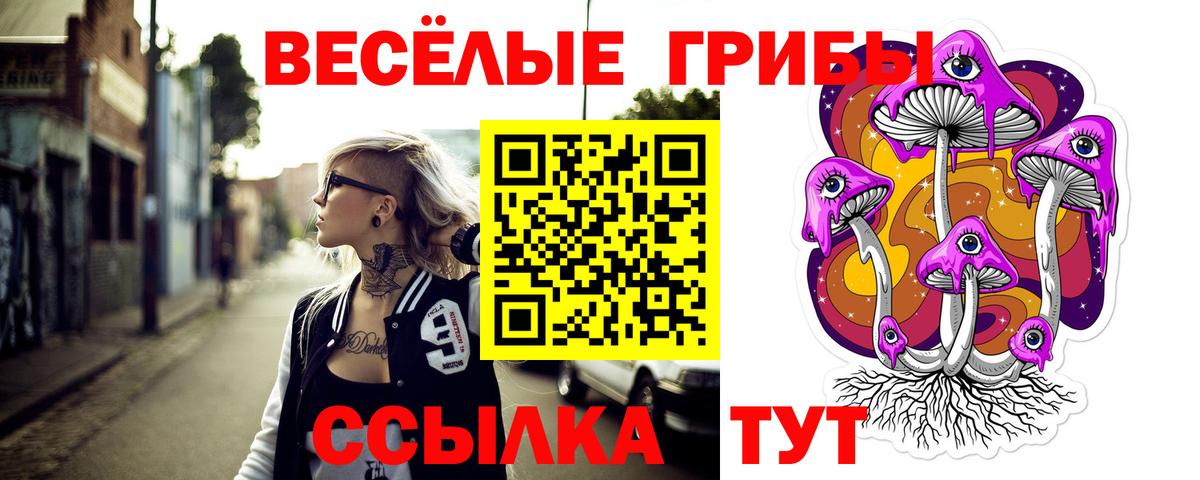 Псилоцибиновые грибы мицелий Россошь